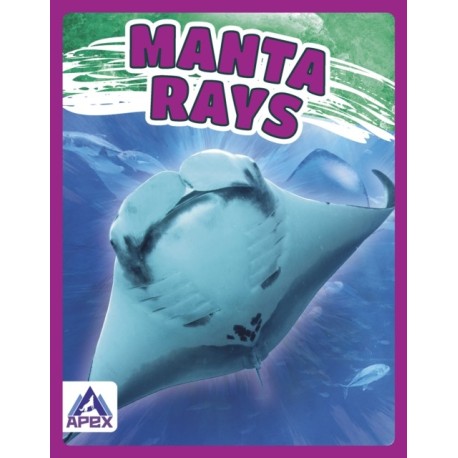 Manta Rays