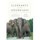 Elephants in the Hourglass: A Journey of Reckoning and Hope Along the Himalaya