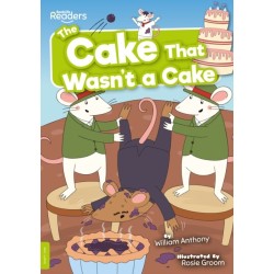 The Cake That Wasn't a Cake