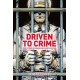 Driven To Crime: True stories of wrongdoing in motor racing