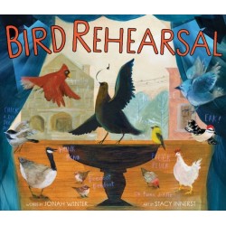 Bird Rehearsal: A Picture Book