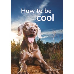 How to be cool