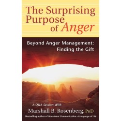 The Surprising Purpose of Anger: Beyond Anger Management: Finding the Gift