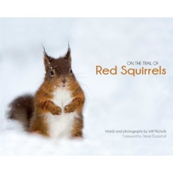 On the Trail of Red Squirrels
