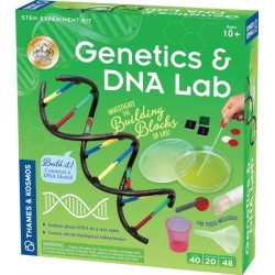 Genetics & DNA