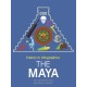 History in Infographics: The Maya