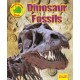 Dinosaur Fossils