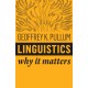 Linguistics: Why It Matters
