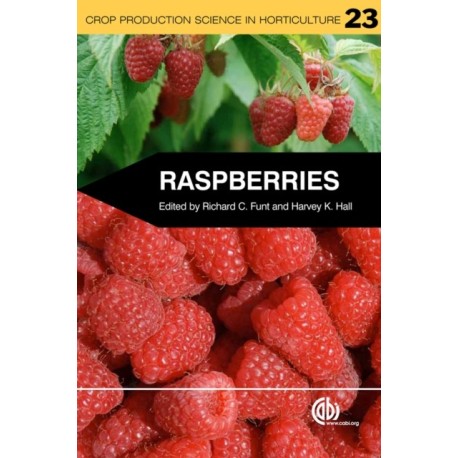 Raspberries