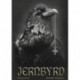 Jernbyrd
