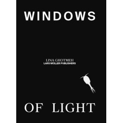 Windows of Light