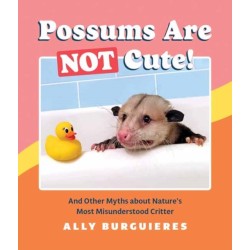 Possums Are Not Cute