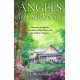 Angels in Our Room: A Journey through the Heartache of Infertility to the Joy of Divine Purpose