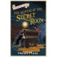 The Adventure Island: The Mystery of the Secret Room: Book 13