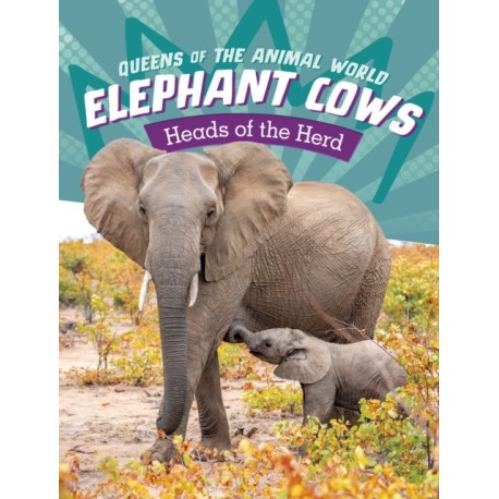 Elephant Cows: Heads of the Herd