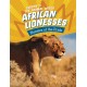 African Lionesses: Hunters of the Pride