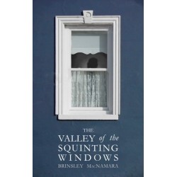 The Valley of the Squinting Windows