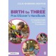 From Birth to Three: An Early Years Educator’s Handbook