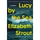 Lucy by the Sea: A Novel