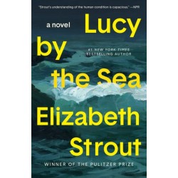 Lucy by the Sea: A Novel