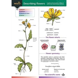 Describing Flowers