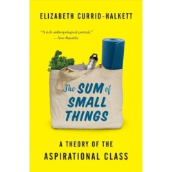 The Sum of Small Things: A Theory of the Aspirational Class