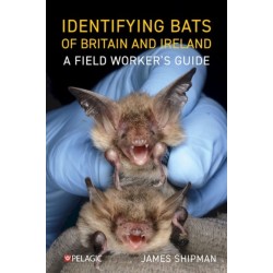Identifying Bats of Britain and Ireland: A Field Worker’s Guide