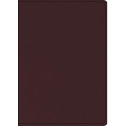 ESV Study Bible, Large Print