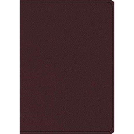 ESV Study Bible, Large Print