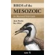 Birds of the Mesozoic