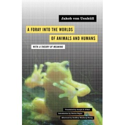 A Foray Into the Worlds of Animals and Humans: With a Theory of Meaning
