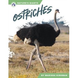 Ostriches