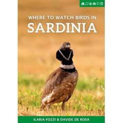 Where to Watch Birds in Sardinia