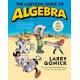 The Cartoon Guide to Algebra