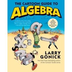 The Cartoon Guide to Algebra