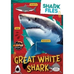 Great White Shark