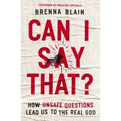 Can I Say That?: How Unsafe Questions Lead Us to the Real God
