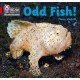 Odd Fish!: Band 02b/Red B