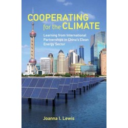 Cooperating for the Climate: Learning from International Partnerships in China's Clean Energy Sector
