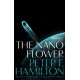 The Nano Flower