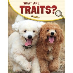 What Are Traits?
