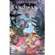 The Sandman: The Deluxe Edition Book Three