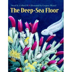 The Deep-Sea Floor