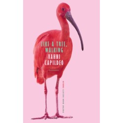 Like a Tree, Walking