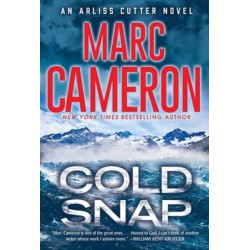 Cold Snap: An Action Packed Novel of Suspense