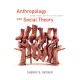 Anthropology and Social Theory: Culture, Power, and the Acting Subject