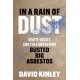 In a Rain of Dust: Death, Deceit, and the Lawyer Who Busted Big Asbestos