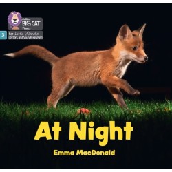 At Night: Phase 3 Set 1 Blending Practice