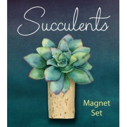 Succulents Magnet Set