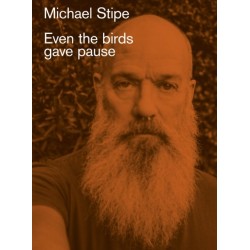 Michael Stipe: Even the birds gave pause